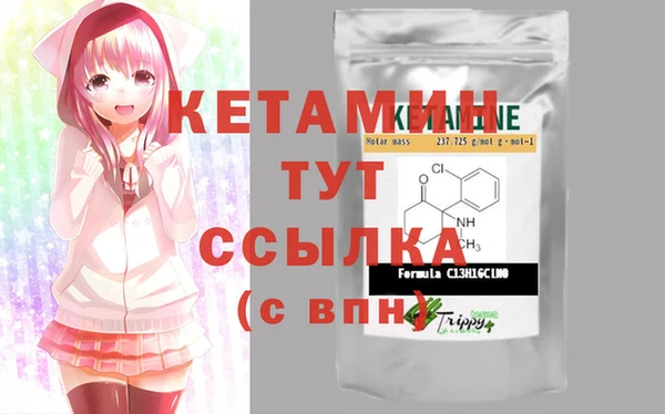 дмт Богданович