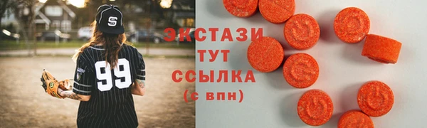 дмт Богданович