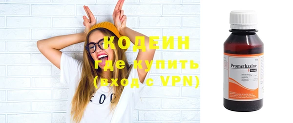 дмт Богданович