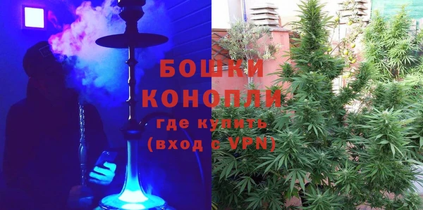 дмт Богданович