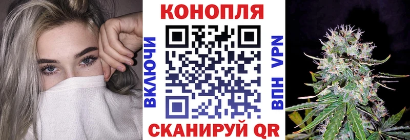 Бошки Шишки VHQ  Купить  Глазов 
